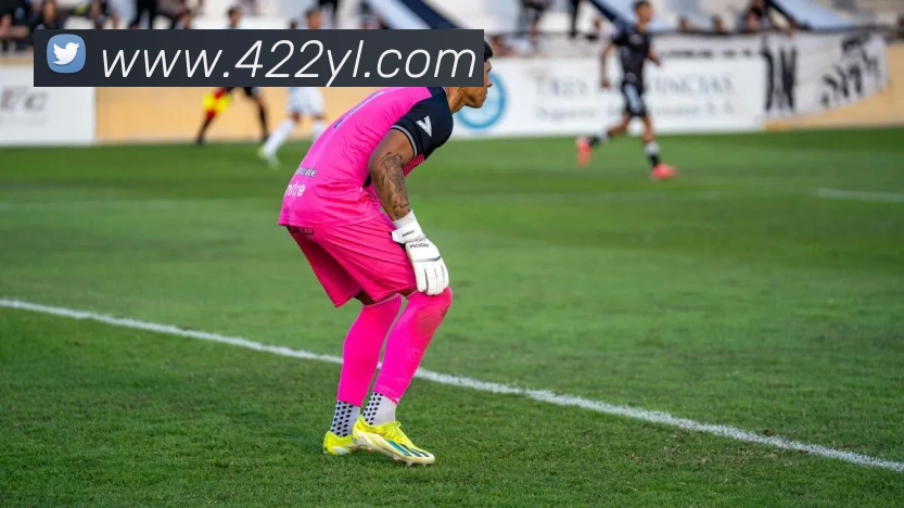 永利国际平台生态图